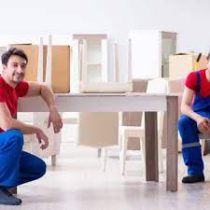 download – 2024-01-13T232746.832 download - 2024-01-13T232746.832